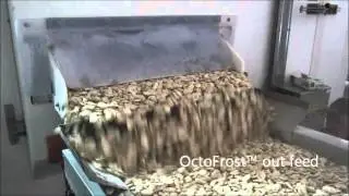 OctoFrost Frozen &ndash; IQF Vegetables: Mushrooms