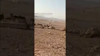 Israeli settlers invade West Bank village of Shallalat al-Auja