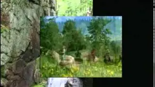 Vacation Rental, Conway, NH