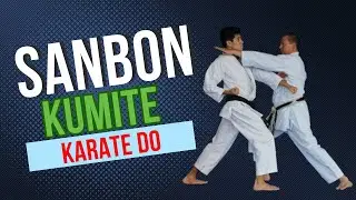 Sanbon kumite. Combate 👊 a 3 pasos, Karate Do Shotokan🥋🎯🏆