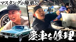 宮迫の愛車「マスタング」が廃車寸前！？トラブル続出の修理作業！