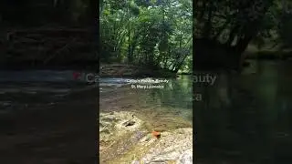 Calby&rsquo;s Hidden Beauty River in St Mary | Jamaica