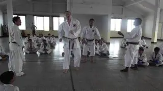 Shihan Kiyohiko Tosa - Genseiryu Karate-do International Federation (GKIF)