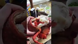 Lobster #spiny lobster #seafood #crab #trending #shorts