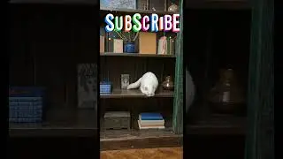 The Graceful Leaper: A Jumping Cat in Action.                    October 21, 2023