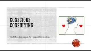 COMPANY 1 - CONSCIOUS CONSULTING - CONSULTANT 5 (OLIVIA)