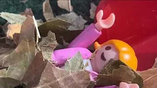 Herbst Intro mit den Vierlingen 🥳🍂