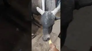 care someone, love someone