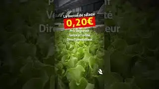 Le go&ucirc;t du local commence aux Serres Caladoises, avec le retour du printemps et du potager ! 🌸🌱