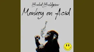 Monkey on Acid
