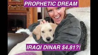 BREAKING IRAQI DINAR INTEL 🚨 Forex, 4.81 Talk & What&rsquo;s Next | LIVE REPLAY