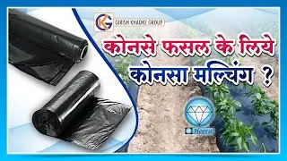 Mulching paper price, मल्चिंग पेपर लगाने के कई लाभ, sheet mulching, organic mulch,