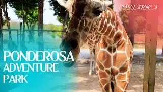 PONDEROSA ADVENTURE PARK - Primer Vlog