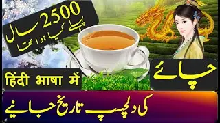 History Of Tea in Urdu/Hindi | Histomative