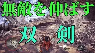 無敵判定を利用しまくる双剣