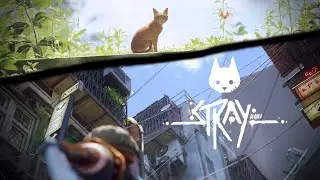 Stray - Chapter 11: Jail & Chapter 12: Control Room (Part 5) FINALE [FULL SERIES]