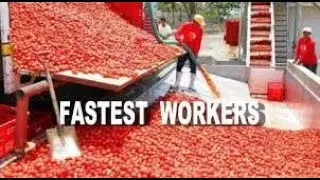 fastest workers on the earth that will blow your mind! People are awesome