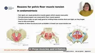 Pelvic Health Physiotherapy and You | Rachel Andrew
