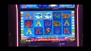 Spielbank 💣Konstanz 10 &euro; Einsatz 🔥Novoline 🎰Jackpot #casino #jackpot #bigwin