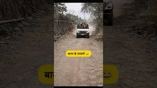 बानर के रंगदारी 🐒😂 #thetharpuns #comedybazar #funny #monkey #rangdari
