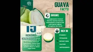 🌳😋 Eating guava benefits #advantages #viral #latestnews #health #human #body #trending #life