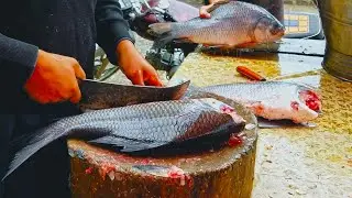 Random Visit of a Roadside Fish Stall | Fish Cutting & Chopping Expertise