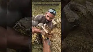 King Cobra Venom Milking! #shorts