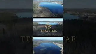 Terra Vitae &ndash; современный взгляд на загородную жизнь