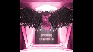 BLACKPINK - How You Like That (Vassek Remix)