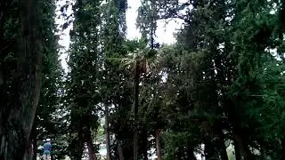 Kaboca &ouml;z&ouml;n Horv&aacute;torsz&aacute;gban