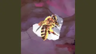 BIRDS AND BEES