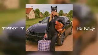 TRINY T - НЕ КИЦЯ (mood video)