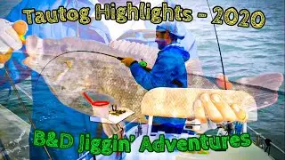Tautog (Black Fish) 2020 Fall season highlights - Lots of action in Long Island Sound!