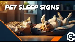 How to Read Your Pet&rsquo;s Sleeping Position for Warning Signs