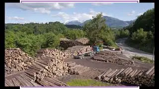 MS ESS3 5   Video