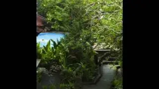 Ubud Terrace Bungalows, Ubud, Bali