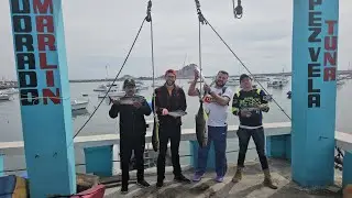 Equipo ganador del torneo de pesca de altura en Mazatlán Sinaloa 