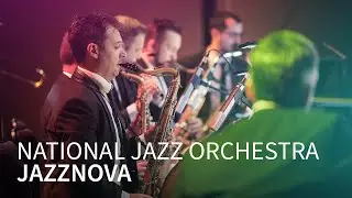 The Professional | National Jazz Orchestra (Live)