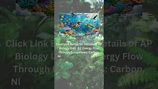 Обзор экологии. Нажмите ниже для получения подробной информации о различных циклах!
