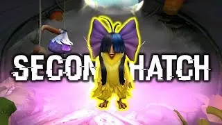 Second Lady Bacon! | Angry Birds Evolution
