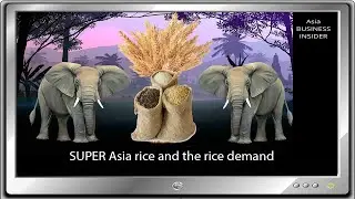 Asia BUSINESS INSIDER/asia rice production/asia agriculture and rice/rice demand
