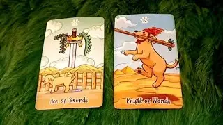 NGƯỜI MỚI CỦA BẠN SẼ XUẤT SẮC NHẤT ĐIỀU GÌ? 