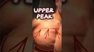 TRY THIS TO GROW YOUR UPPER CHEST!🔥 (CHEST UPPER SHELF)