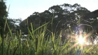 Africa Industrialization Day 2014 - African Agro Industry for Food Security