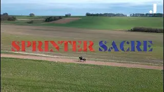 Поездка со Sprinter Sacre &mdash; представлено экспертом по пенсионным вопросам