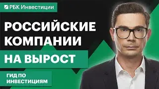Сбер, Мечел, ПИК, Юнипро, Интер РАО &mdash; кого положить в портфель на 2023 год?