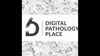 163: Digital Diagnostics Summit 2025 Innovation in Action - Conference Update