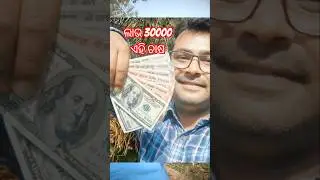 profitable farming in odisha #farming #profitablefarming #shorts