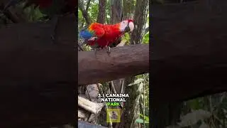 Top 5 Places in Venezuela for 2026