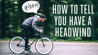What Biking Taught Me About Diversity, Equity and Inclusion